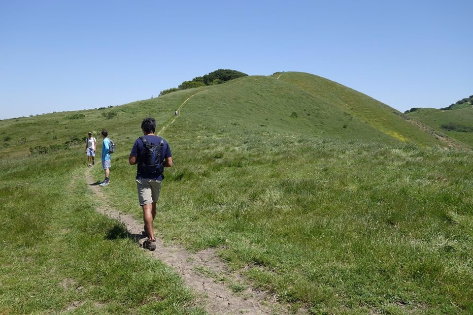 Wildcat Canyon Regional Park-列治文必去景点