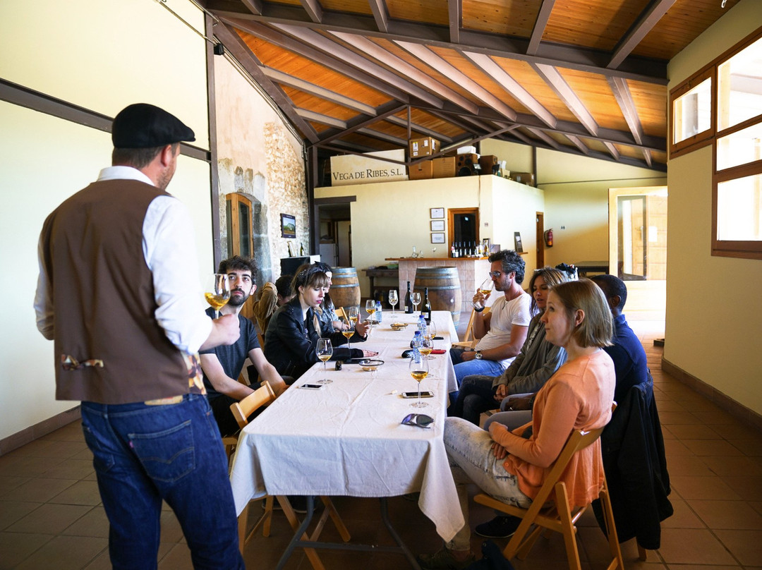 Garraf Wine Tours-Sant Pere de Ribes必去景点