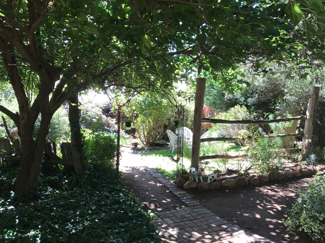 Joadja Vineyard-Berrima必去景点