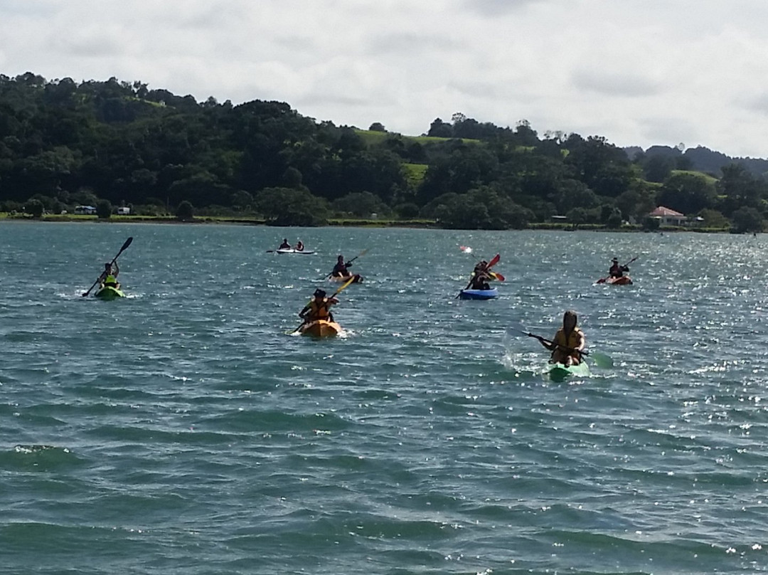 Hibiscus Kayak Hire-奥克兰中心地区必去景点