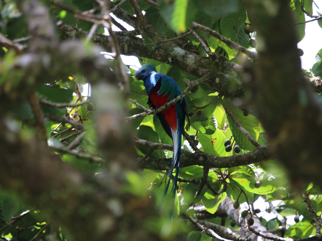 Guides of Monteverde-蒙特沃德必去景点