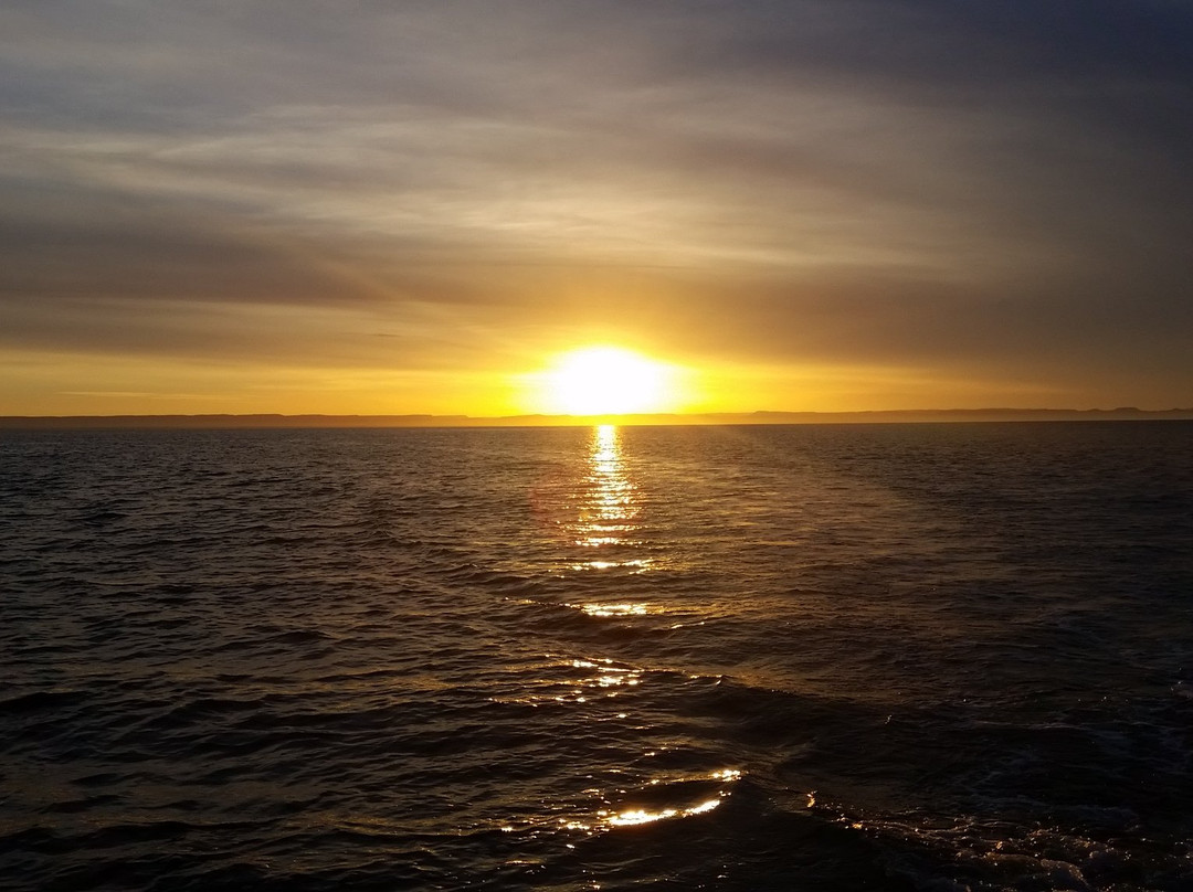 Sea of Cortez Adventures-拉巴斯必去景点