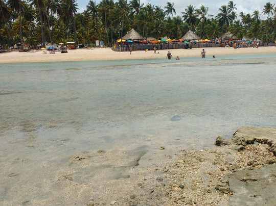 AGF Turismo Passeios e Traslados-累西腓必去景点