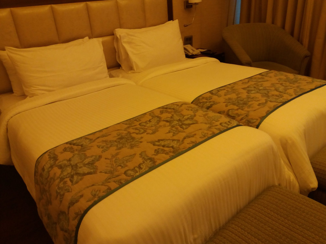 Seyfert Sarovar Premiere