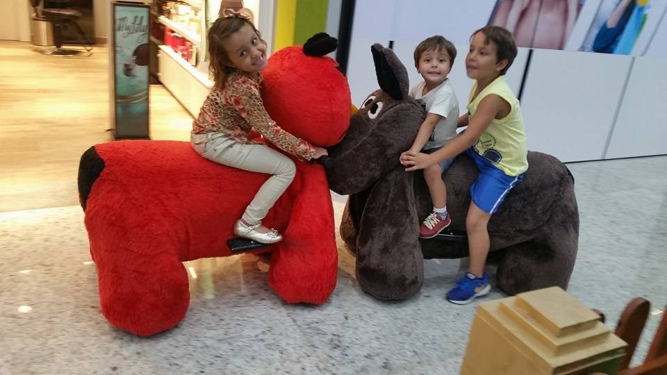 Barra Center Shopping景点图片