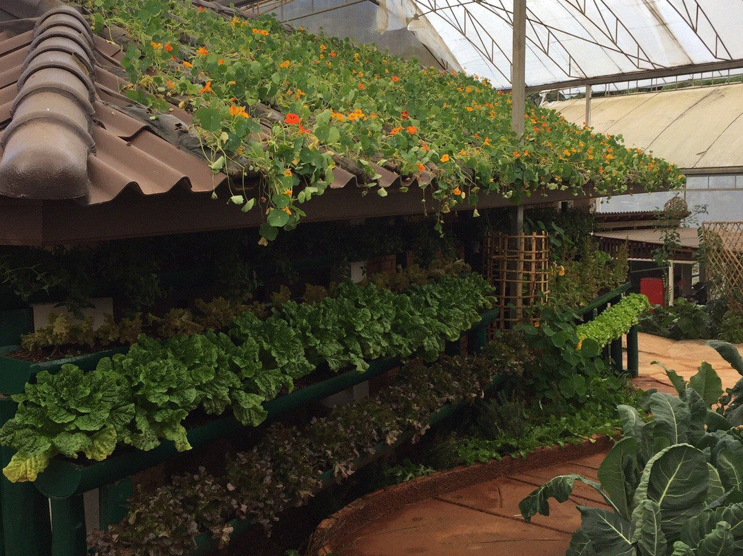 The Royal Agricultural Station Angkhang-芳县必去景点