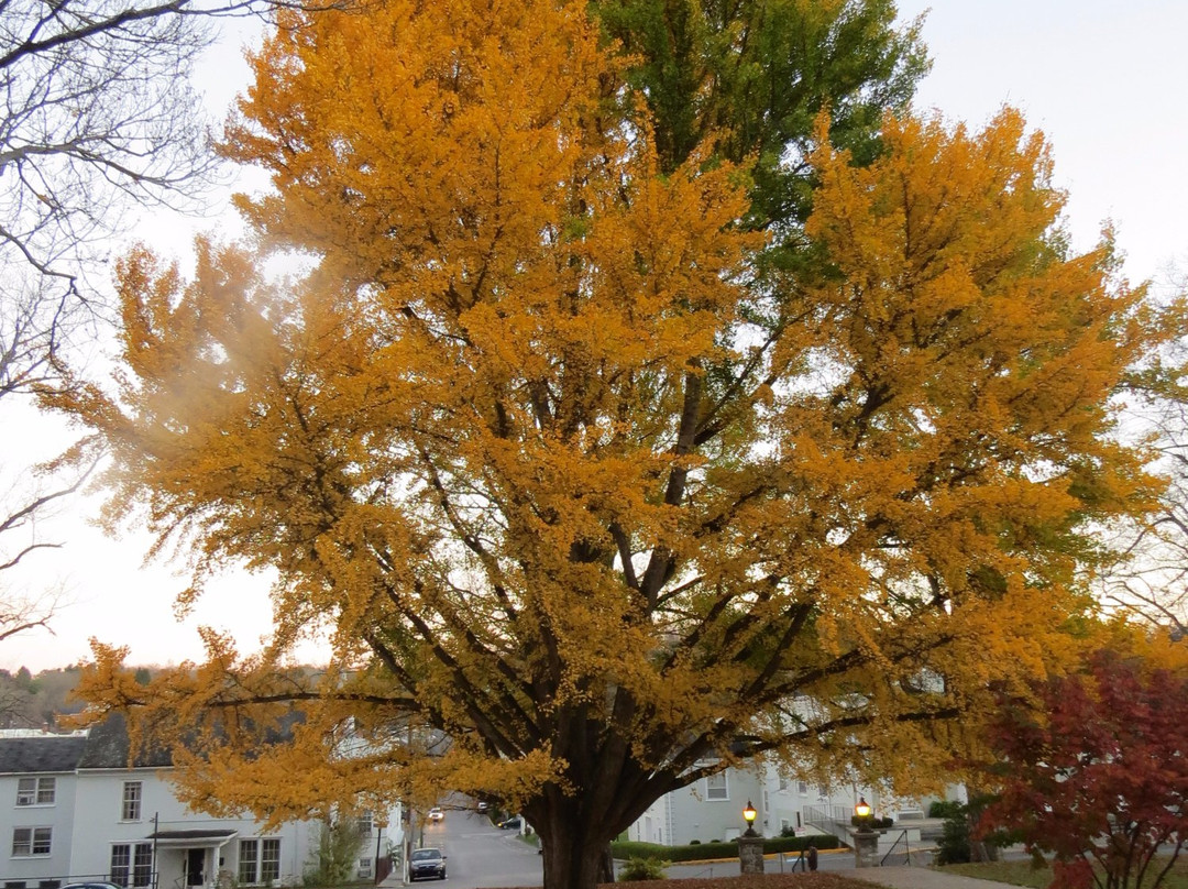 Carnegie Hall-Lewisburg必去景点