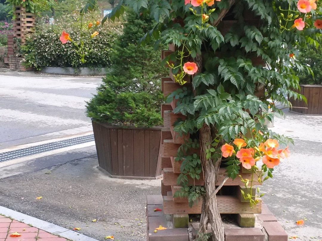 Eco Parkland Zoo-咸平郡必去景点