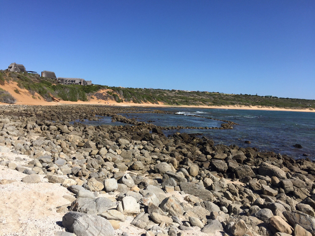 Ancient Fish Traps