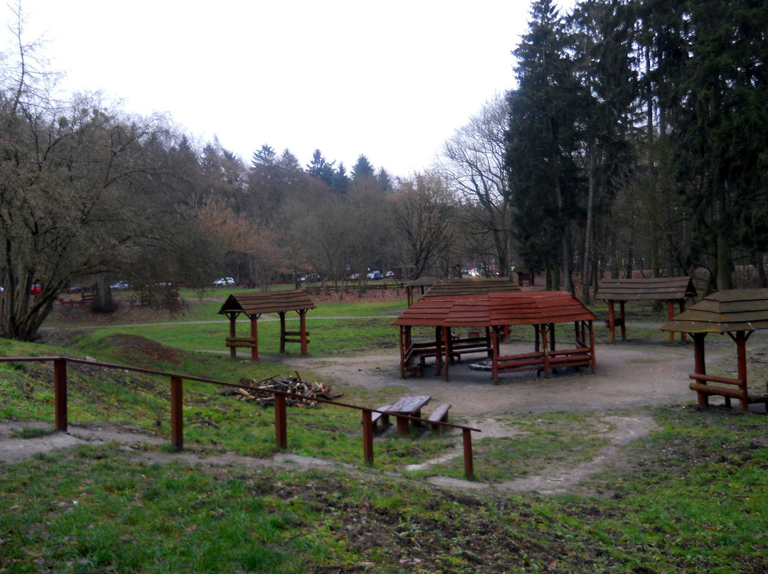 Arkonka Sport Complex-什切青必去景点