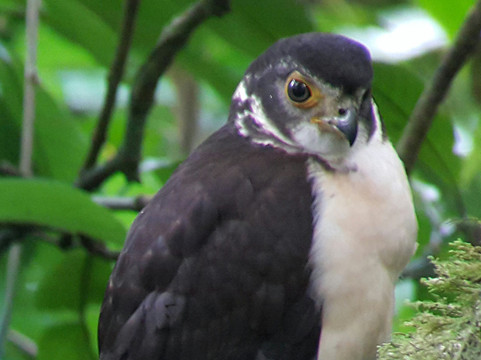 Monteverde Nature Guided Tours-圣埃伦娜必去景点