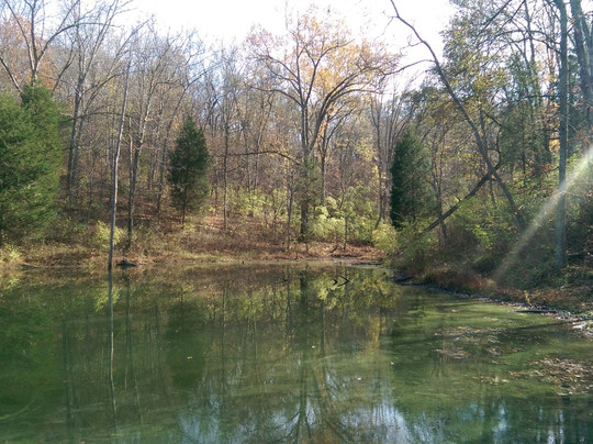 Union旅游攻略图片