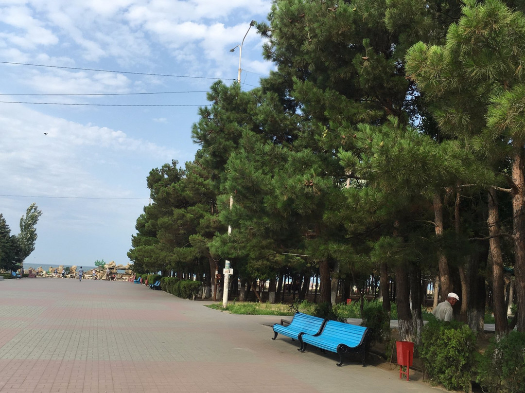 Khalilova Park景点图片