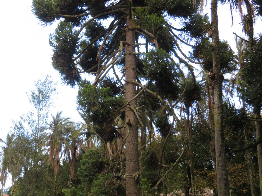 Hacienda Pinsaqui主图