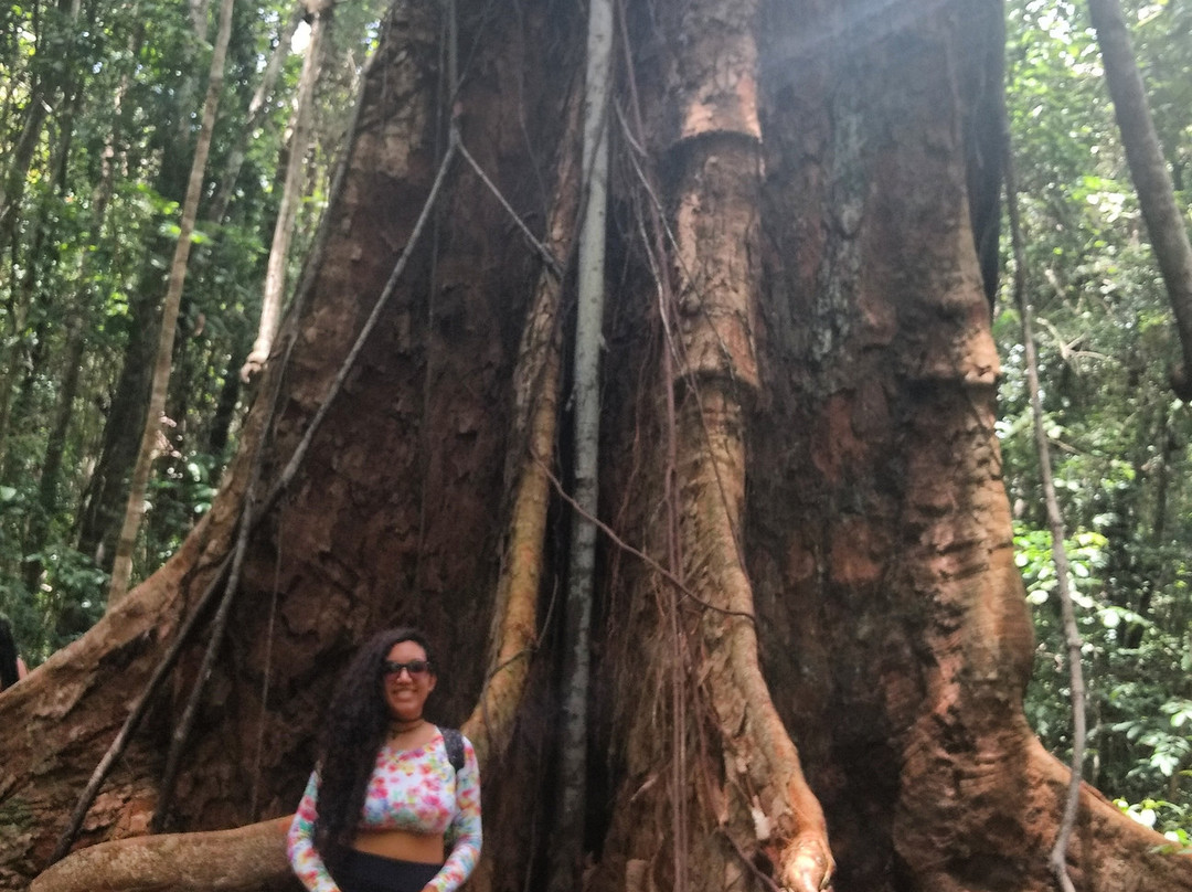 Trilha do Visgueiro-Maragogi必去景点