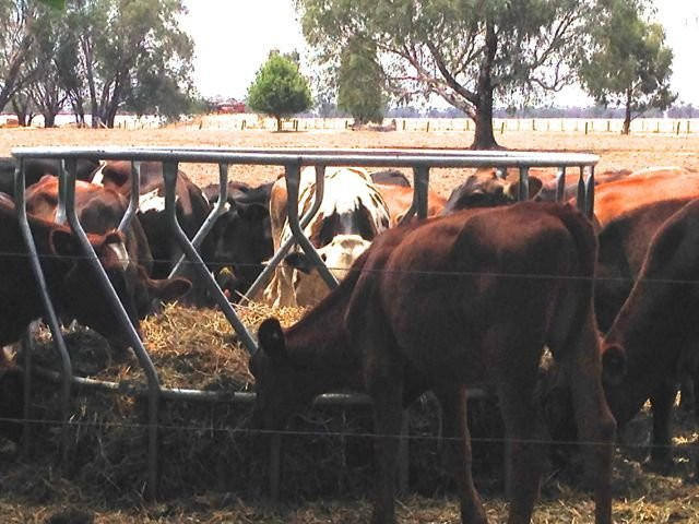 Locheilan Farmhouse Cheese-Mundoona必去景点