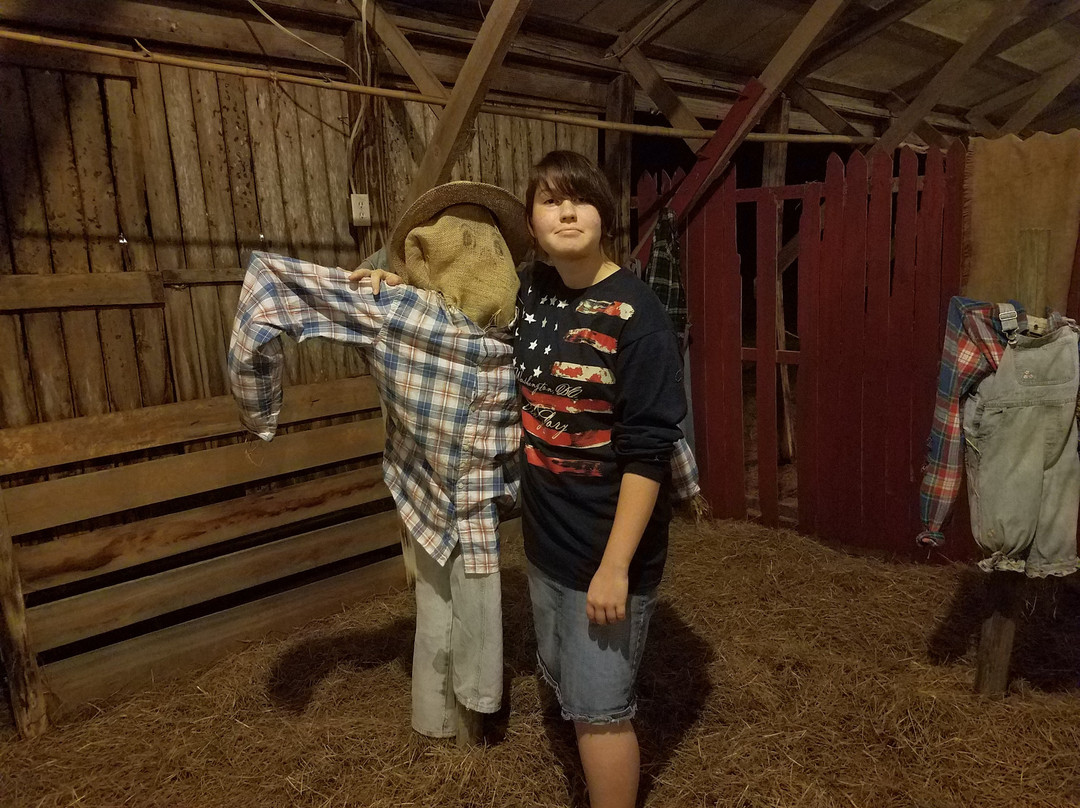 Conner's A-Maize-Ing Acres-Hilliard必去景点