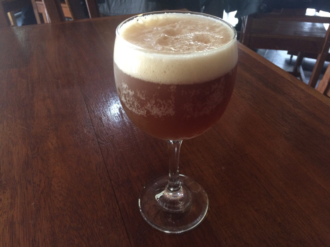 Porto Brazos-Ponta Grossa必去景点