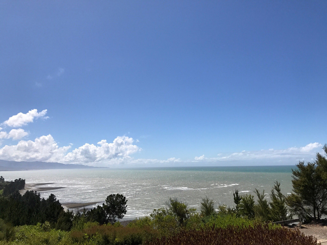 Tasman Golf Club景点图片