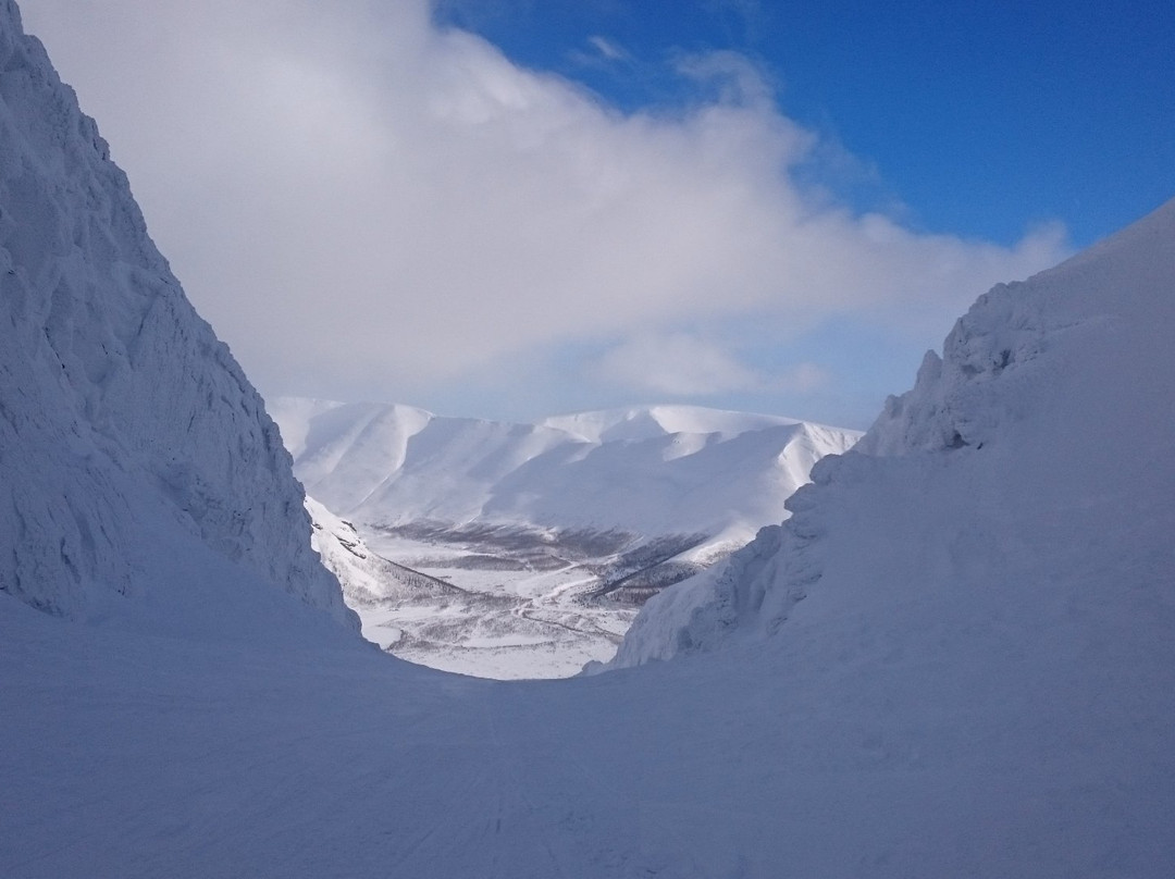 Frihetsbolaget Snow Mobile Tour景点图片
