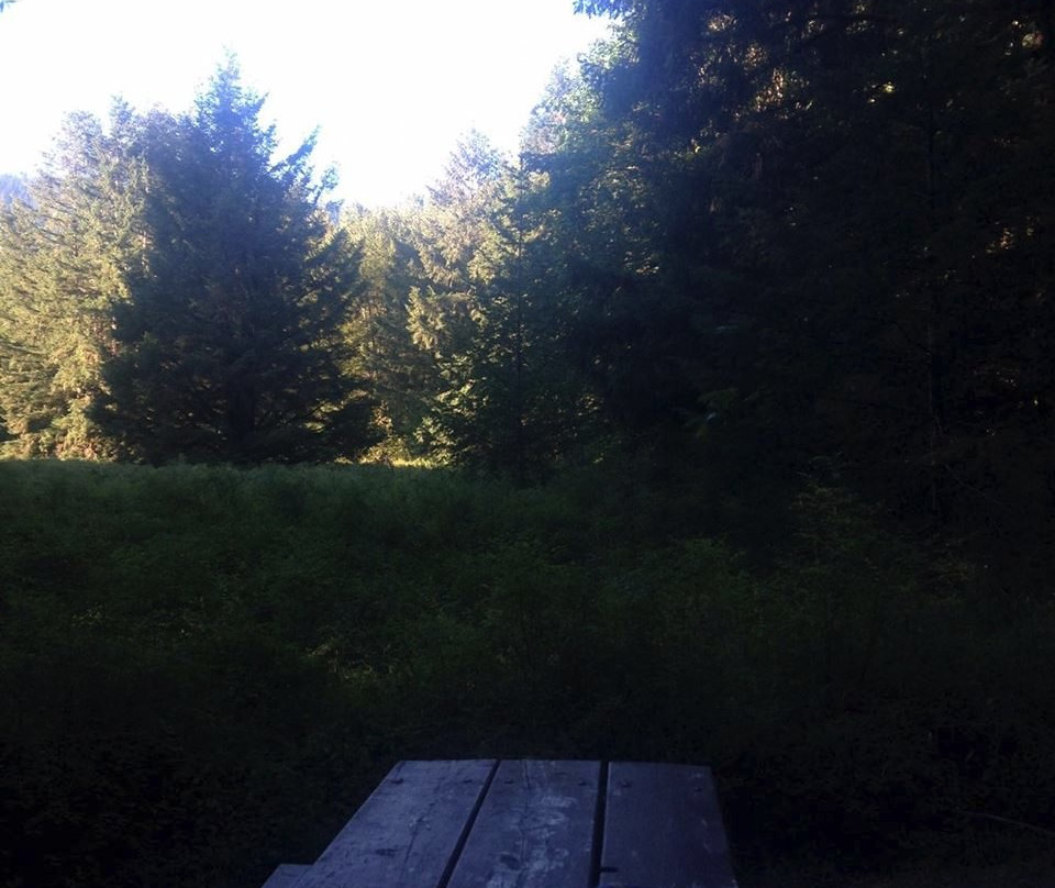 Cowichan River Provincial Park景点图片