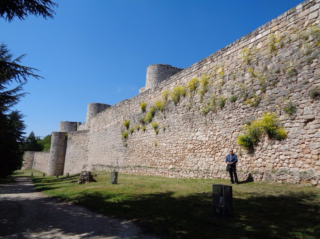 Castillo de Burgos景点图片