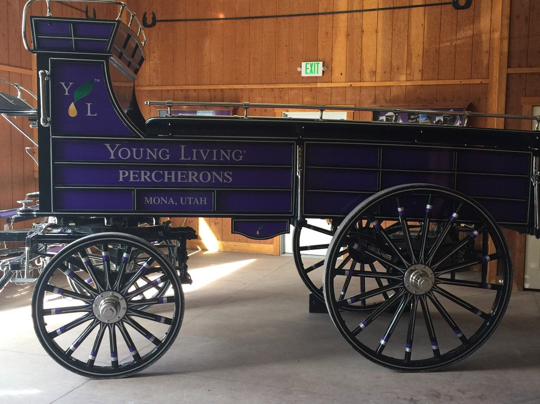 Young Living Farms Lavender Farm-Mona必去景点