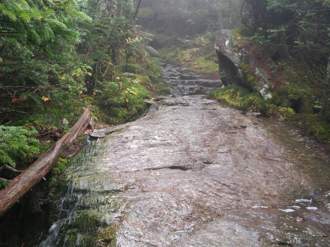 Underhill State Park景点图片
