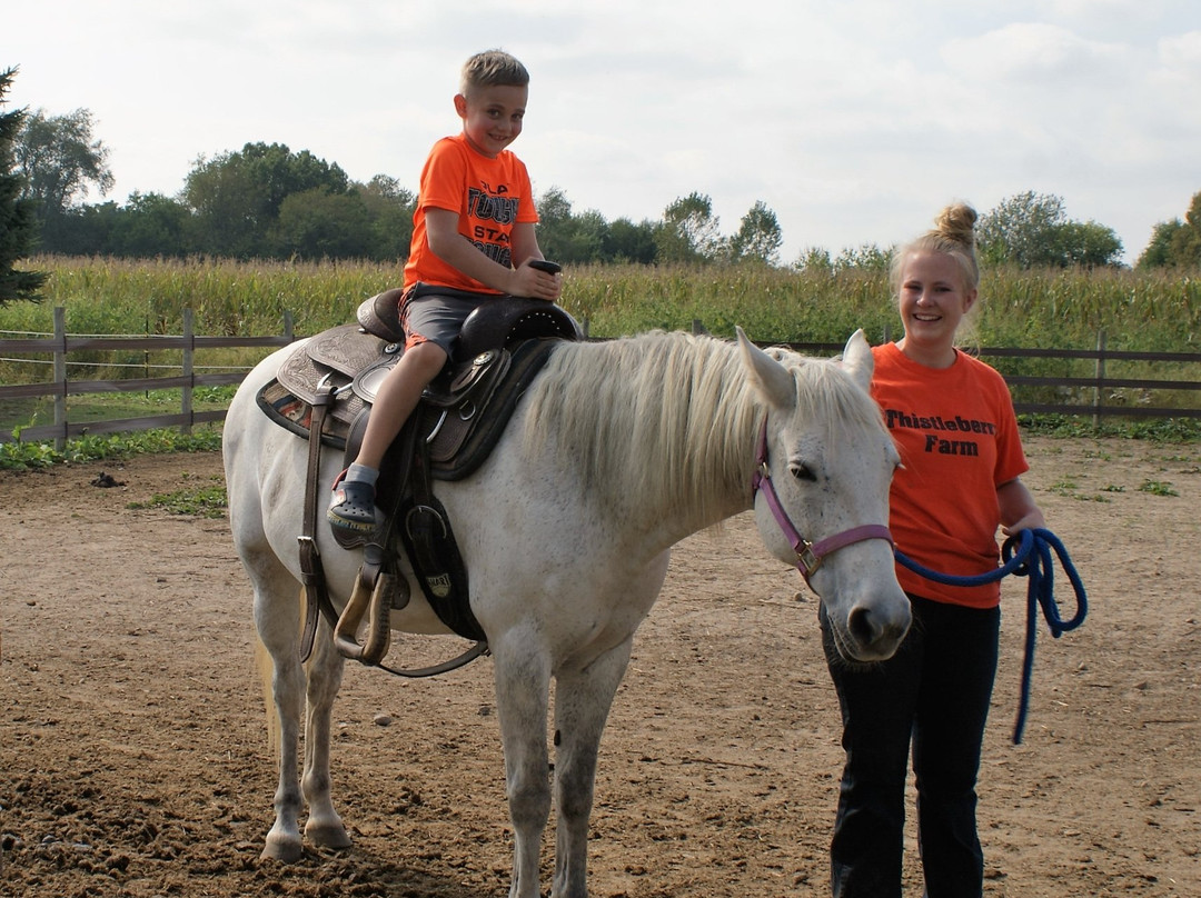 Thistleberry Farm-南本德必去景点