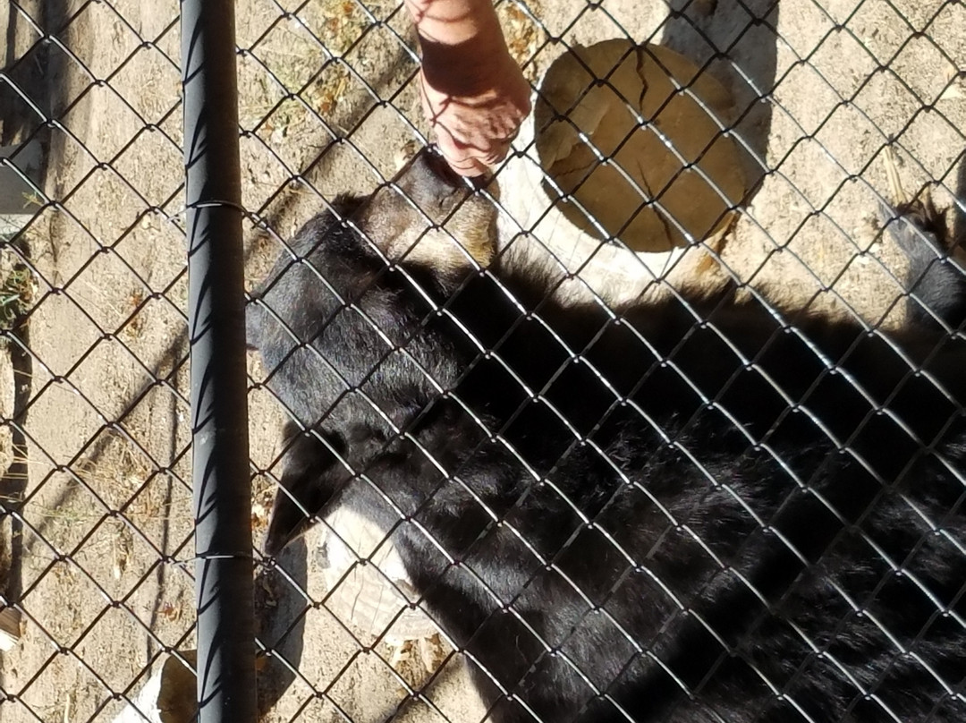 Wildhaven Ranch-箭头湖必去景点