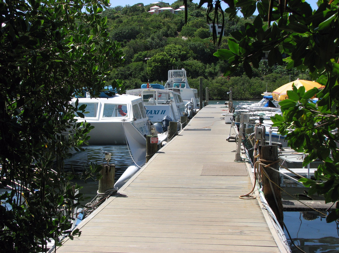 Dolphin Water Taxi-圣 托马斯必去景点