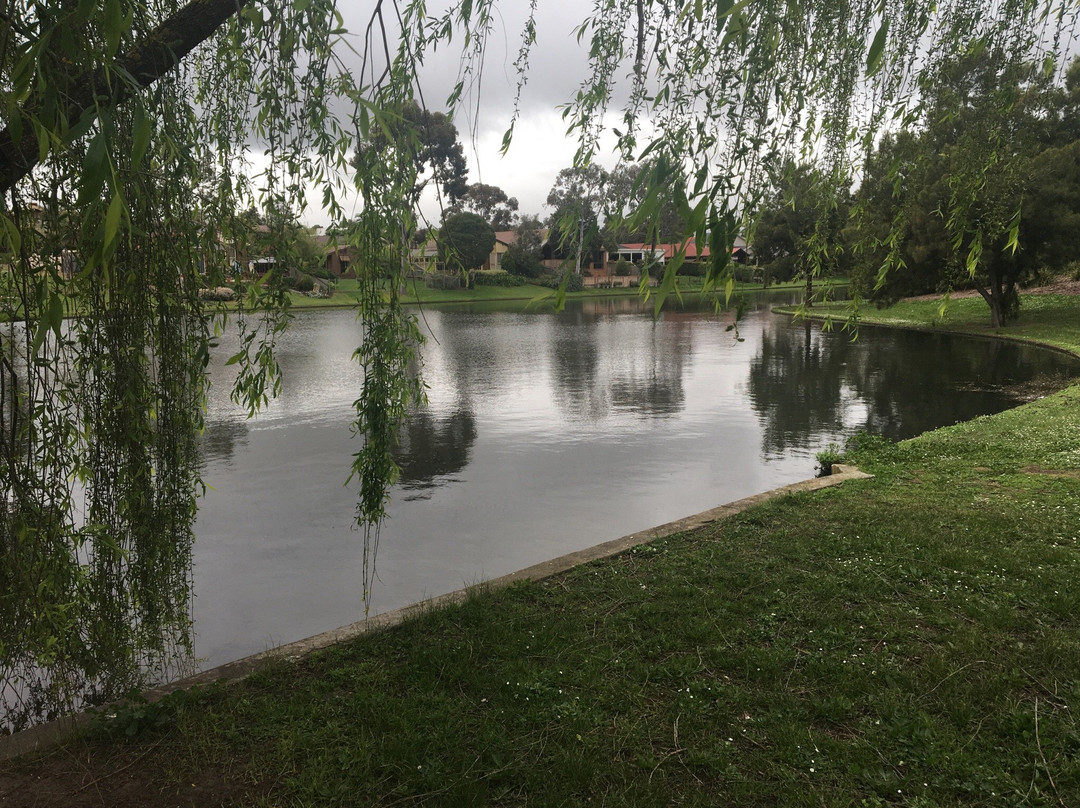 Sutton Lake景点图片