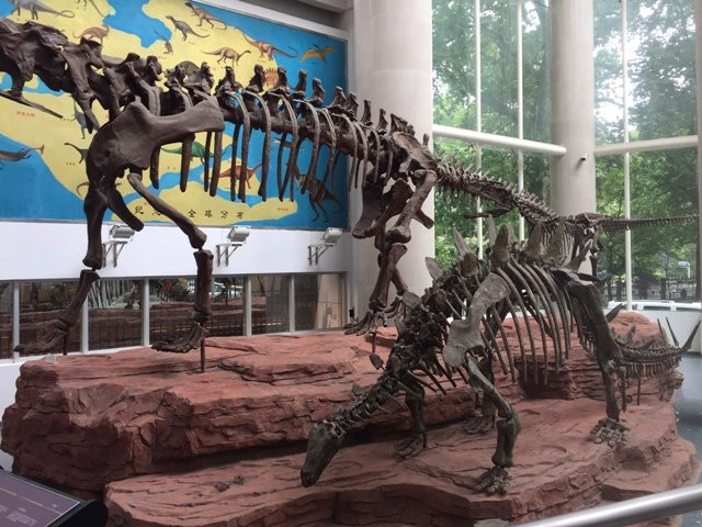 南京古生物博物馆-南京市必去景点