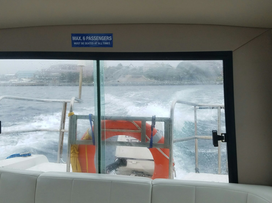 Harbour Water Taxi-达特茅斯必去景点