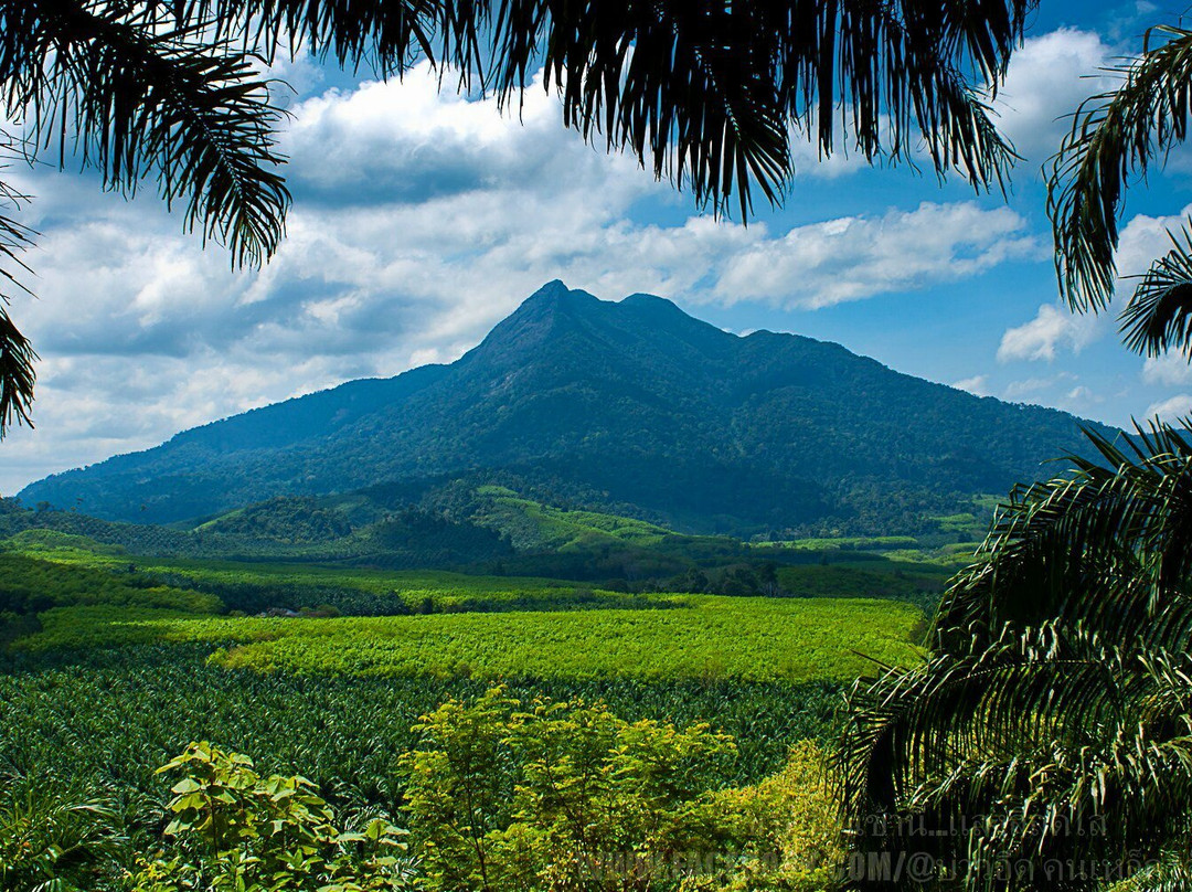 考帕哝旅游攻略图片