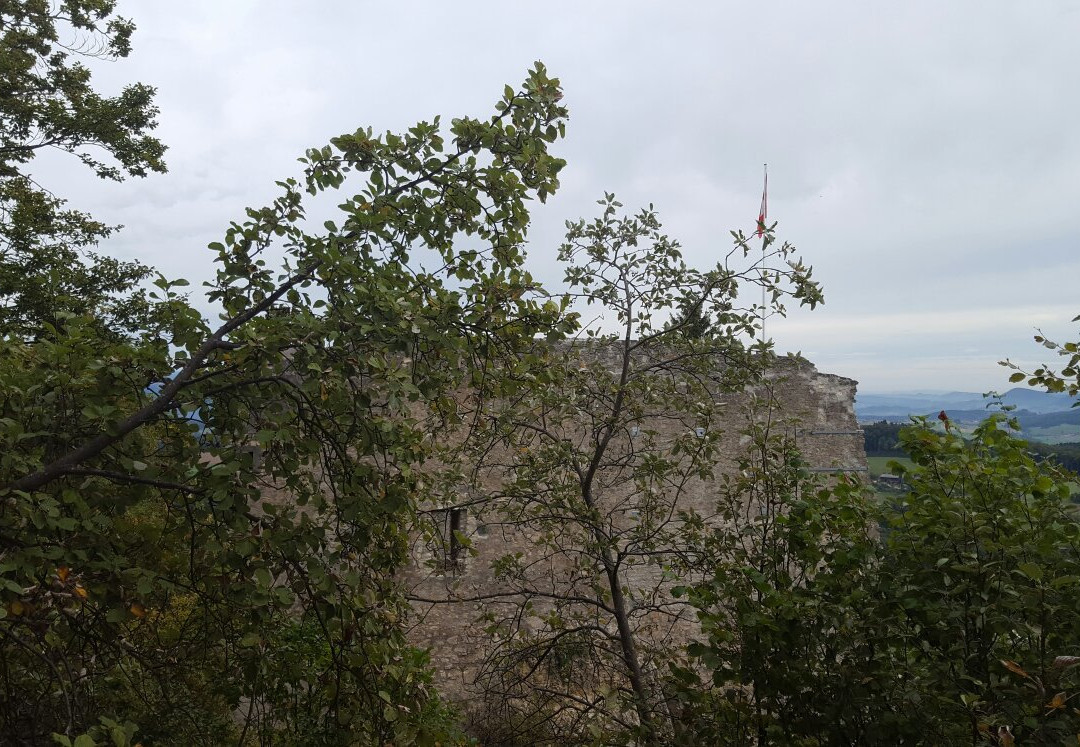 Ruine Farnsburg-Ormalingen必去景点