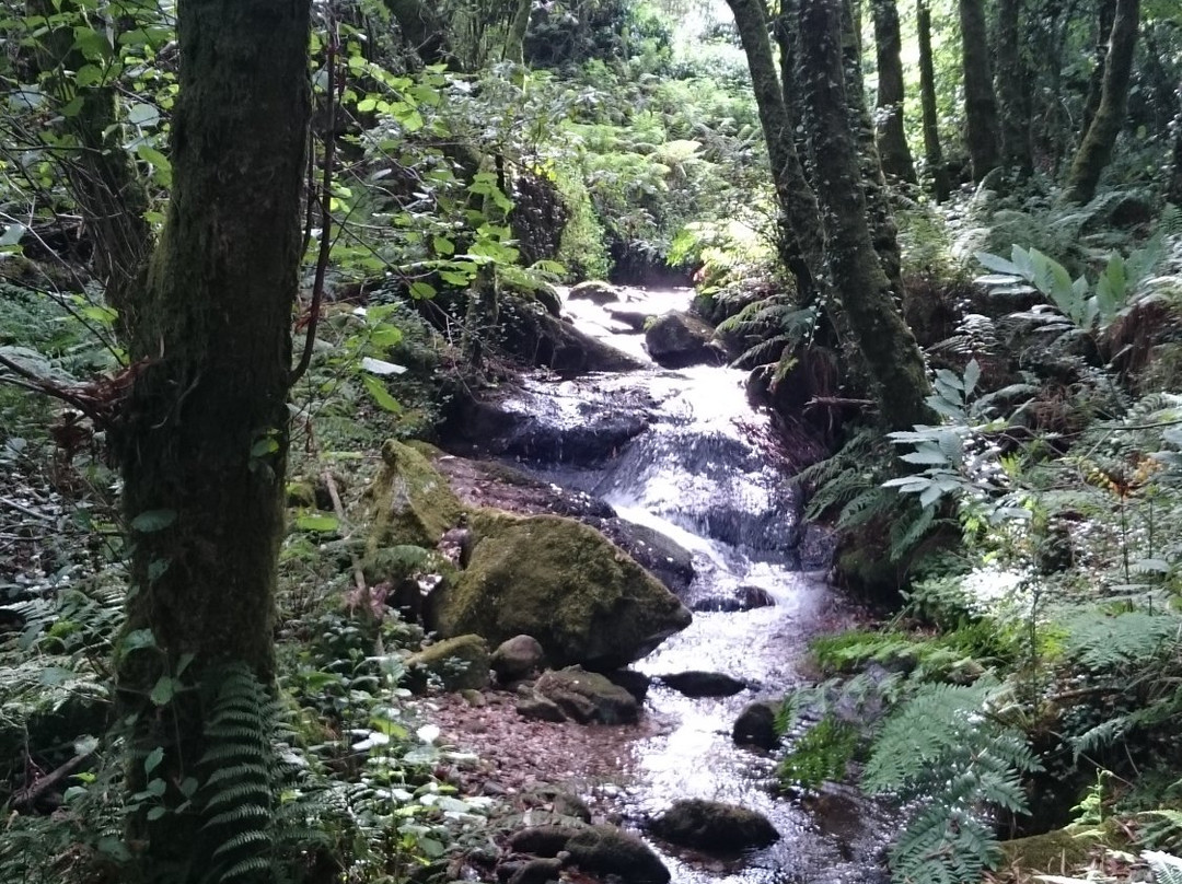 Ruta dos Muinos de Samieira-Poio必去景点