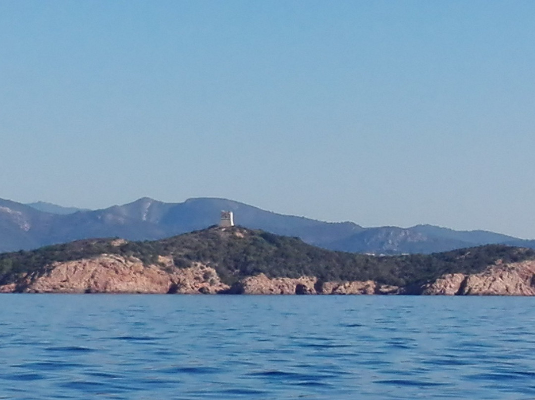 Pinarellu旅游攻略图片