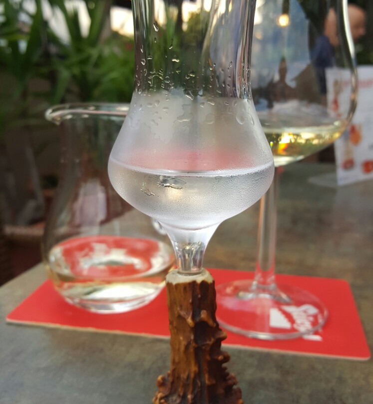 Landgasthof Bichlwirt主图