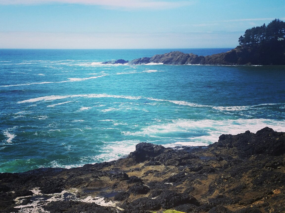 Whale Park-Depoe Bay必去景点