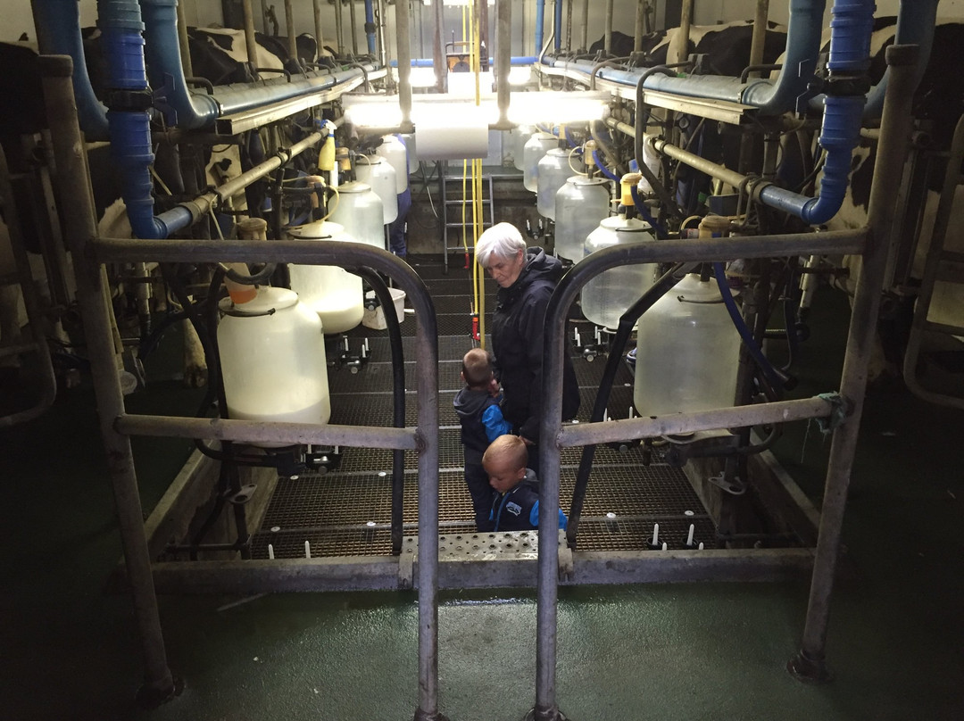 De Weiden-贝尔特勒姆必去景点