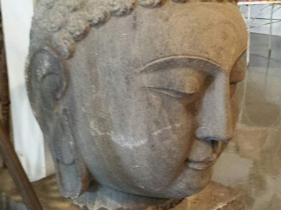 Curious Garden-达拉斯必去景点