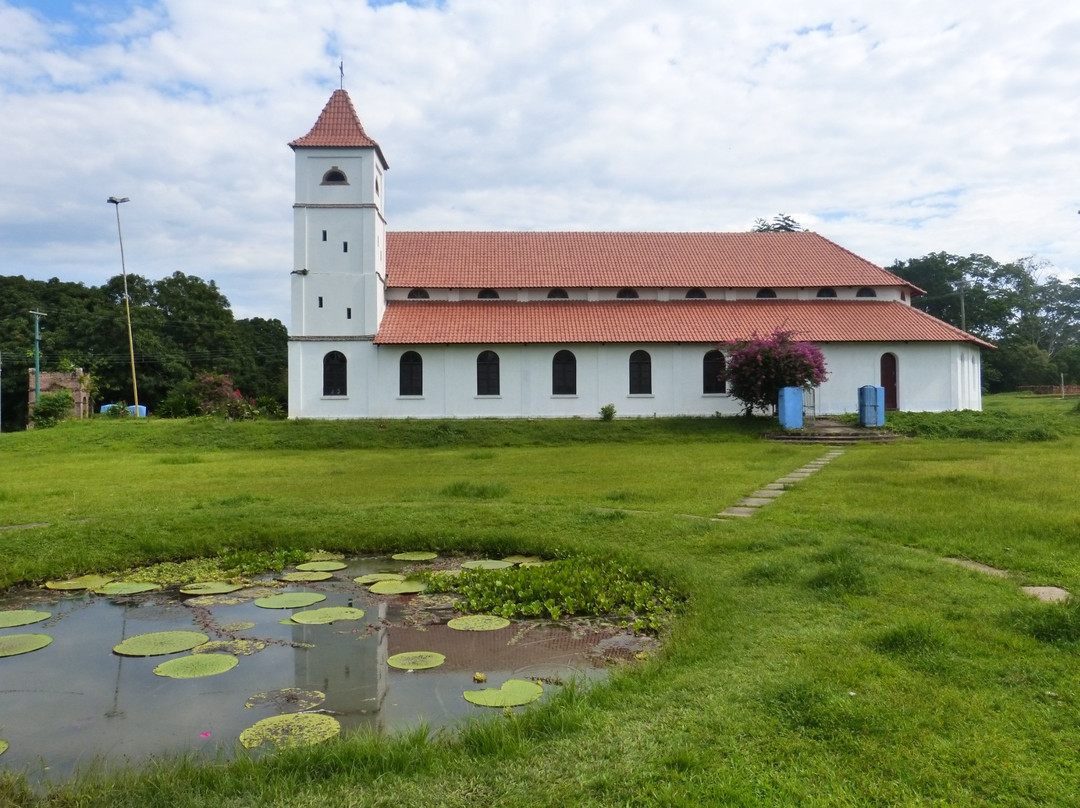 Tefe旅游攻略图片