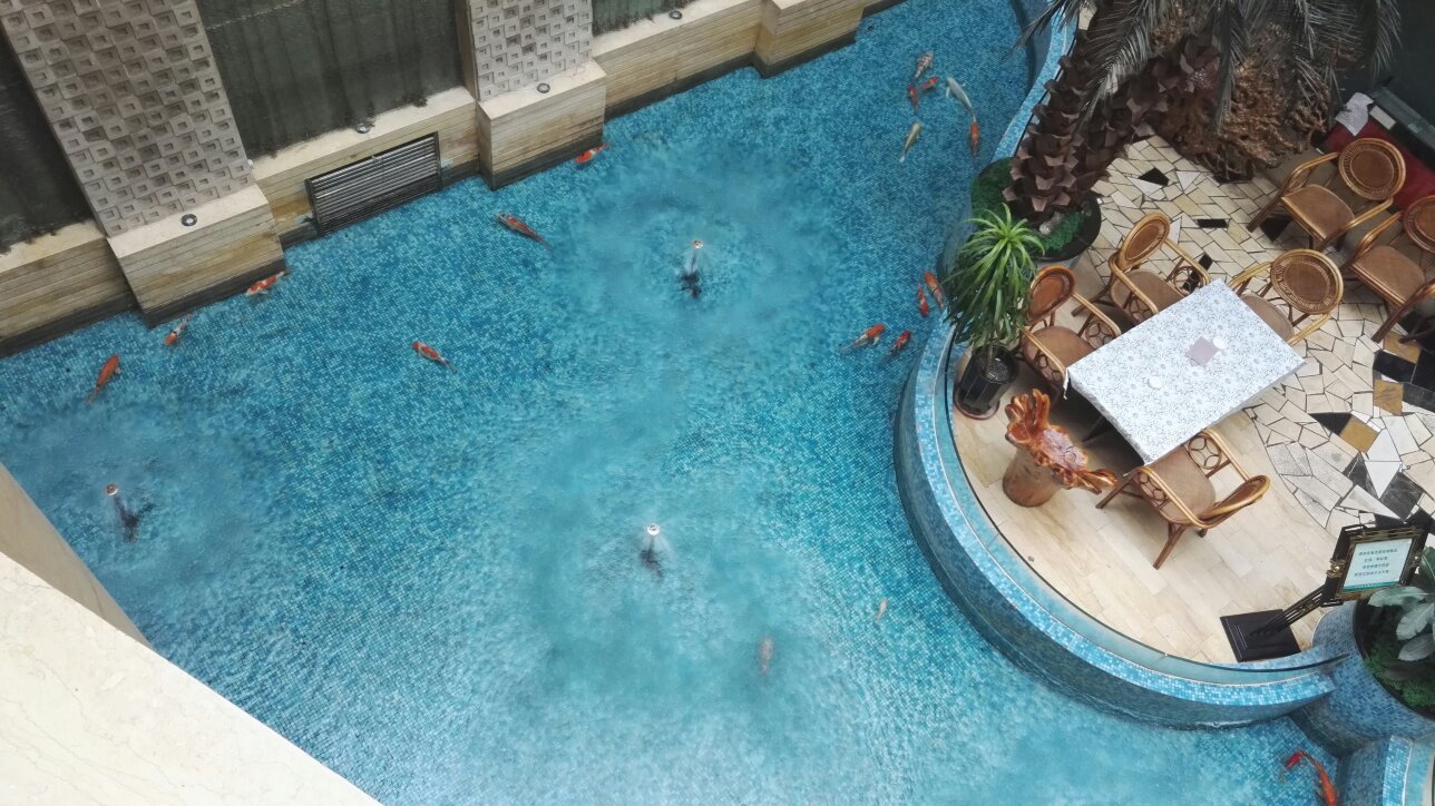 瑞豪国际酒店-官方