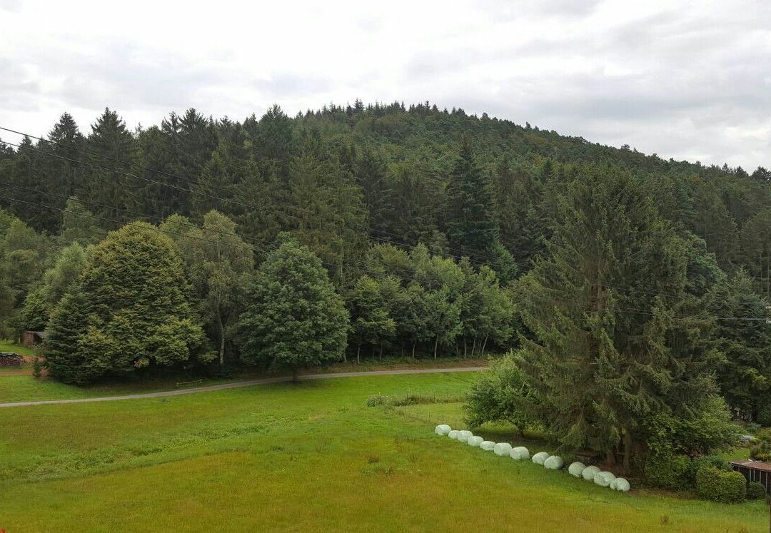 Gasthof Waldfrieden主图