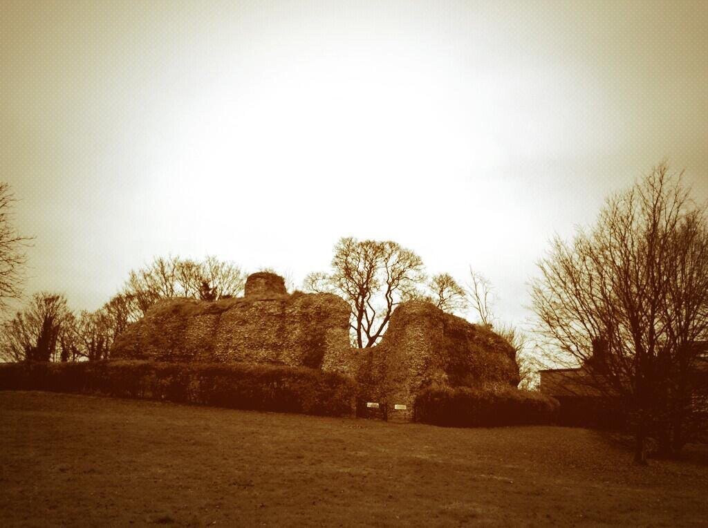 Walden Castle景点图片