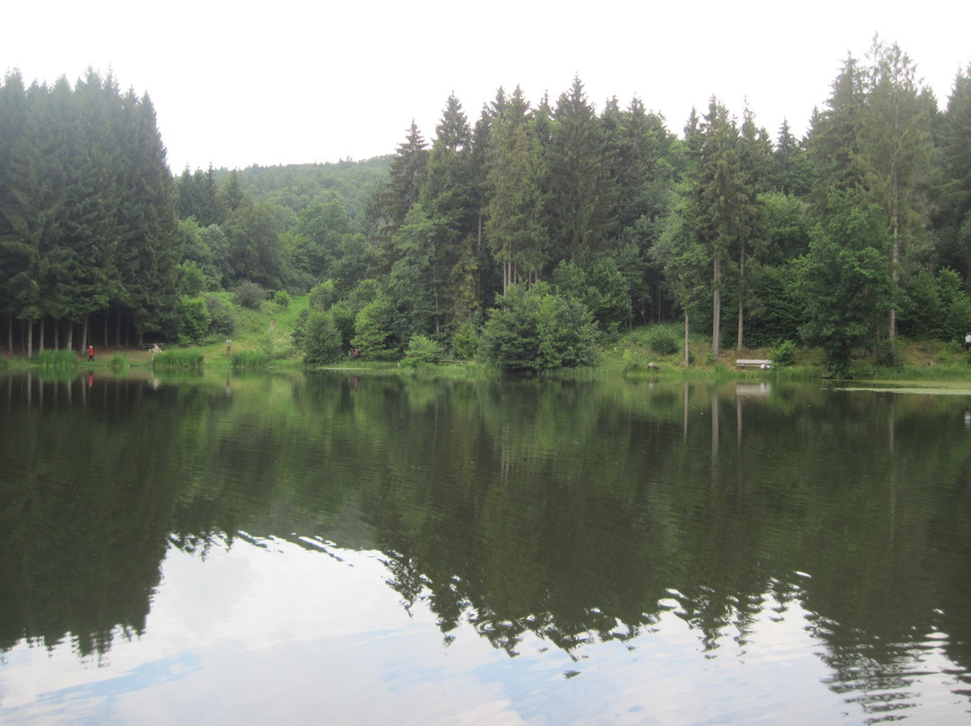 Rothsee-Bischofsheim in der Rhoen必去景点