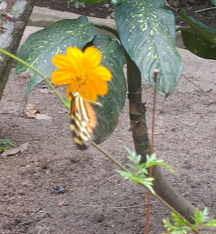 Zhaveta Yard-拉梅尔塞必去景点