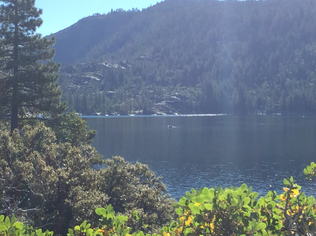 Pinecrest Lake Marina景点图片