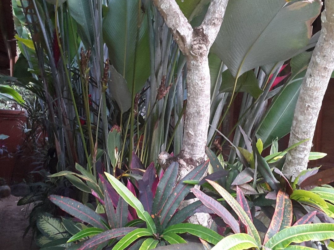 Bali Bulan Villa主图